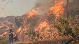 emergencia-por-la-ola-de-calor:-victimas-e-incendios-en-europa