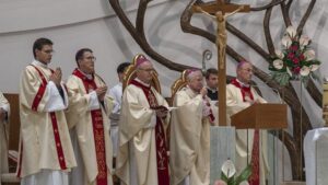 verny:-en-la-lucha-contra-los-abusos,-la-iglesia-debe-caminar-con-las-victimas